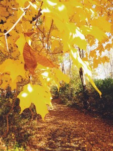 Processed with VSCOcam with f2 preset